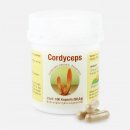 Cordyceps, 100 Kaps